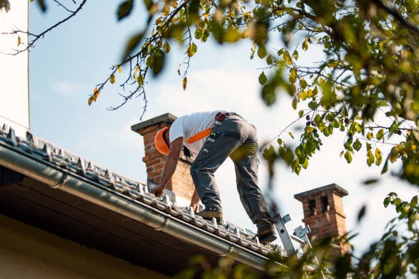 Best Best Roofing Contractors  in Westville, IN