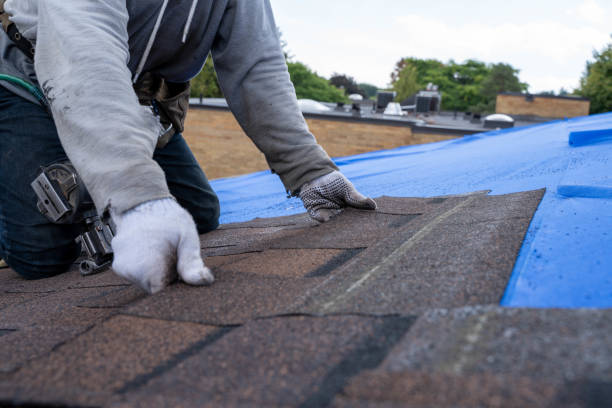 Best Best Roofing Contractors  in Westville, IN