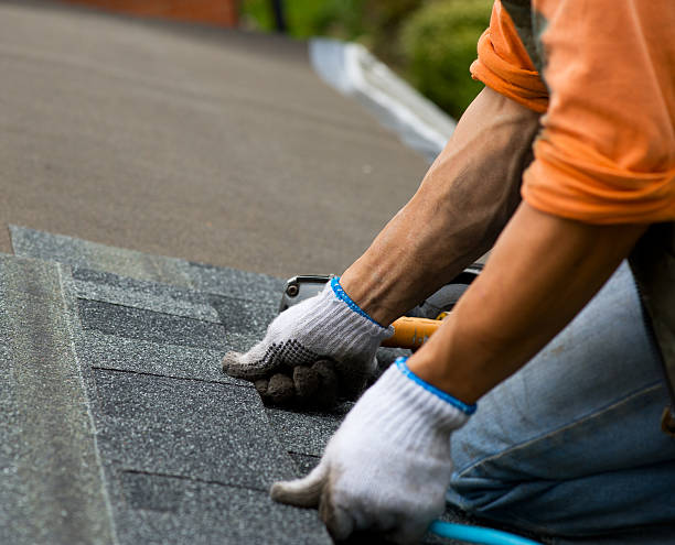Quick and Trustworthy Emergency Roof Repair Services in Westville, IN