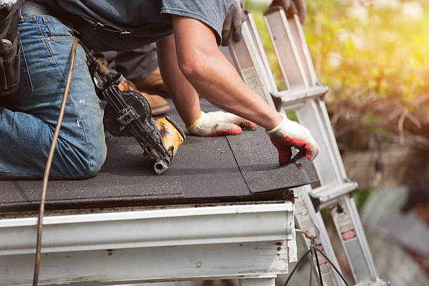 Best Roof Gutter Cleaning  in Westville, IN