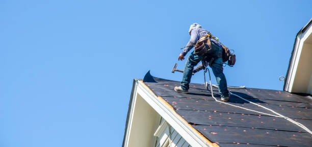 Best Roof Replacement Cost  in Westville, IN